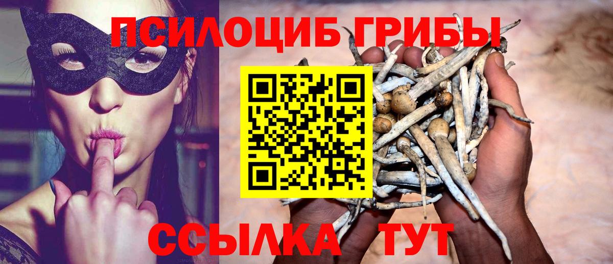 Псилоцибиновые грибы GOLDEN TEACHER Оренбург